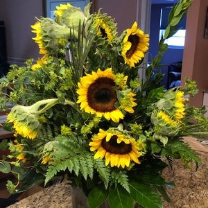 Meet your Posher, Johnnie